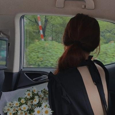 女主播风云