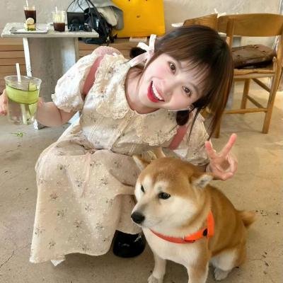 半妖的夜叉姬第一季